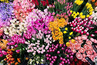 兰博基尼推出了第三届The Real Race，并在官方电竞团队中占有一席之地